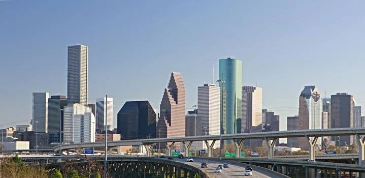 Why Appna South Texas Chapter